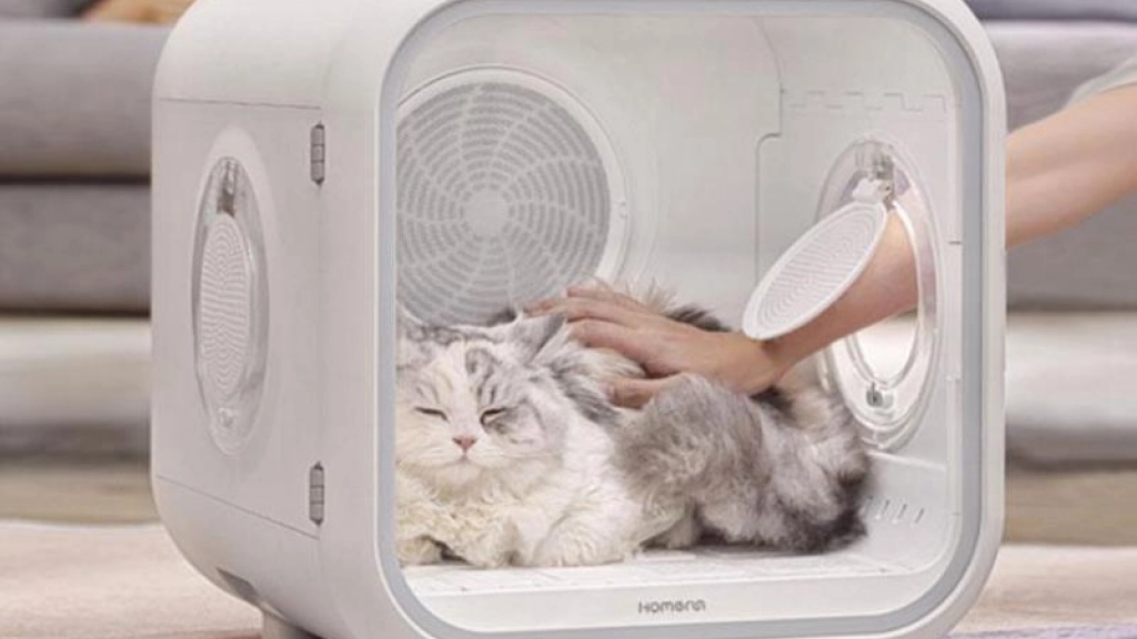 secadora gatos