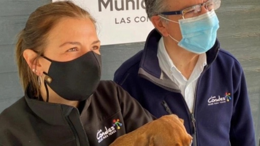 Las Condes remodela veterinaria municipal