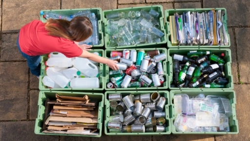 Reciclaje: Reconocida empresa avanza en ecoetiquetado y cuenta con siete categorías con empaques reciclables