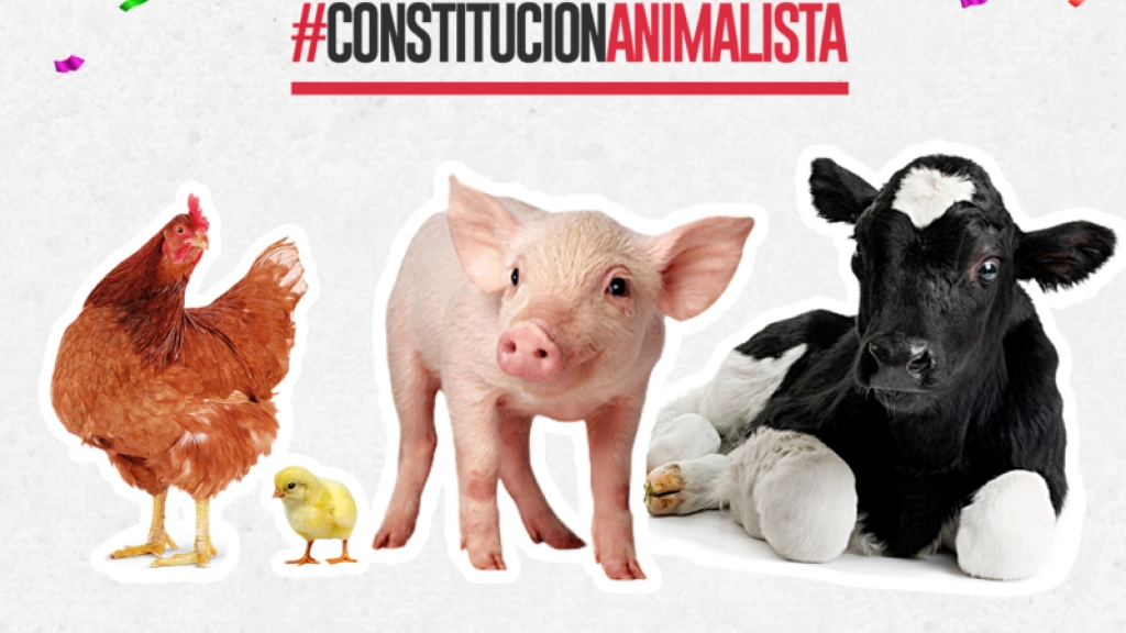 animales en la constitución
