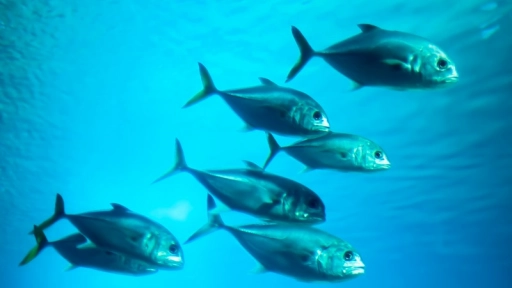 Prohibición de cocción de animales acuáticos vivos: La revolucionaria propuesta animalista