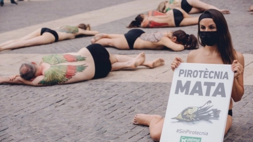 Barcelona: AnimaNaturalis exige el fin de la pirotecnia con ruido