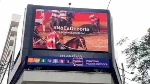 #NoEsDeporte: La impactante campaña contra el rodeo que se tomó las calles
