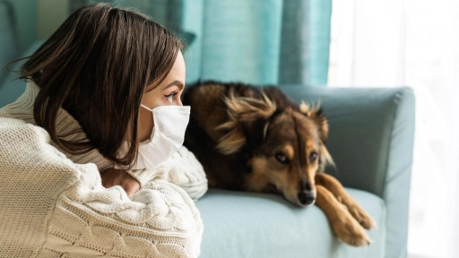 Perros pandémicos: Los cachorros que nacieron en cuarentena