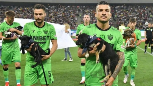 Rumania: Jugadores saldrán con perritos abandonados para promover la adopción