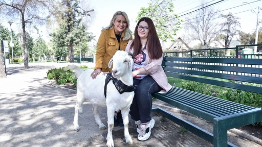 Candidatas animalistas: Marcela Cubillos y Camila Ahumada