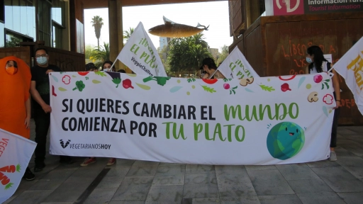 Día Contra el Cambio Climático: Dos campañas buscan desacelerar su impacto