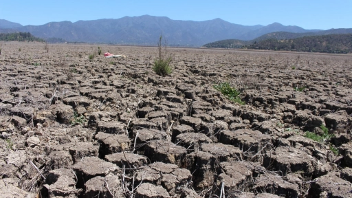 Denuncian sequía extrema en Aculeo