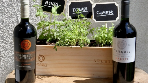 Viña Aresti presenta sus primeros siete vinos veganos