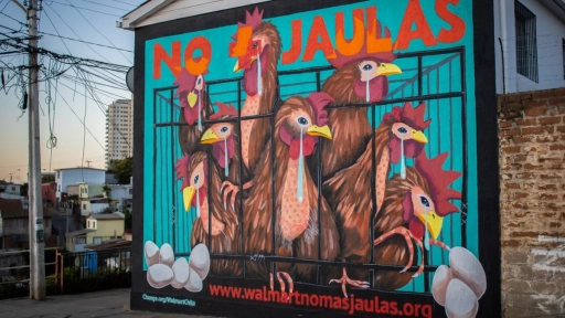 En un mural piden mejores condiciones en la producción de huevos