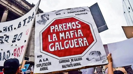 Galgo Libre Internacional Los galgueros en Argentina son considerados delincuentes