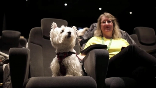 Inglaterra #Petfriendly: Abren cine adaptado para perros
