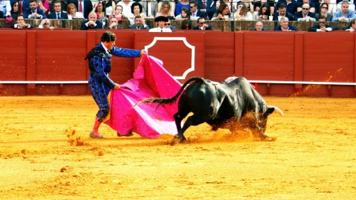 Prohíben las corridas de toros en Gijón