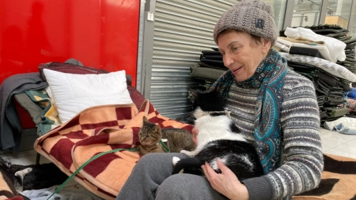 Europa: Lanzan programa de atención veterinaria para animales de refugiados ucranianos