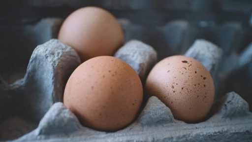 Cambios de proteínas económicas: Cómo afrontar la crisis de los huevos que se nos viene