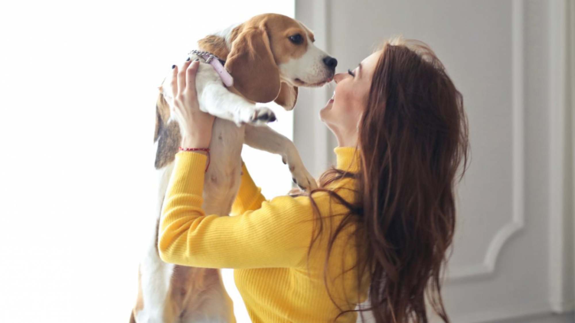 Mujeres Determinantes En El Vínculo Entre Perros Y Humanos Mestizos Magazine