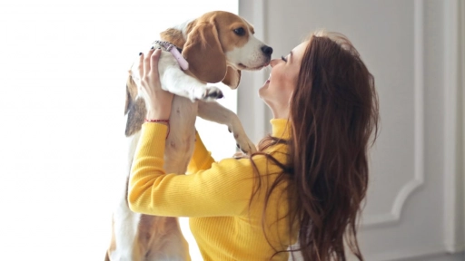 Mujeres: Determinantes en el vínculo entre perros y humanos 