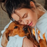 Estudio: Perros saben cuando sus humanos están tristes