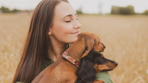 Estudio: Vínculo entre un perro y su humano es similar al de una madre con su hijo