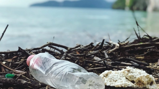 Día Mundial de los Océanos: Plásticos representan al menos el 85% de los desechos que hay en el mar 