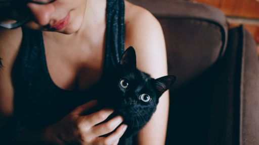 Estudio: Mujeres pueden interpretar emociones de los gatos