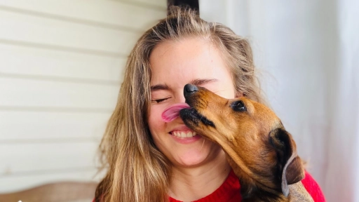 Estudio: Perros lloran de alegría al reencontrarse con sus humanos