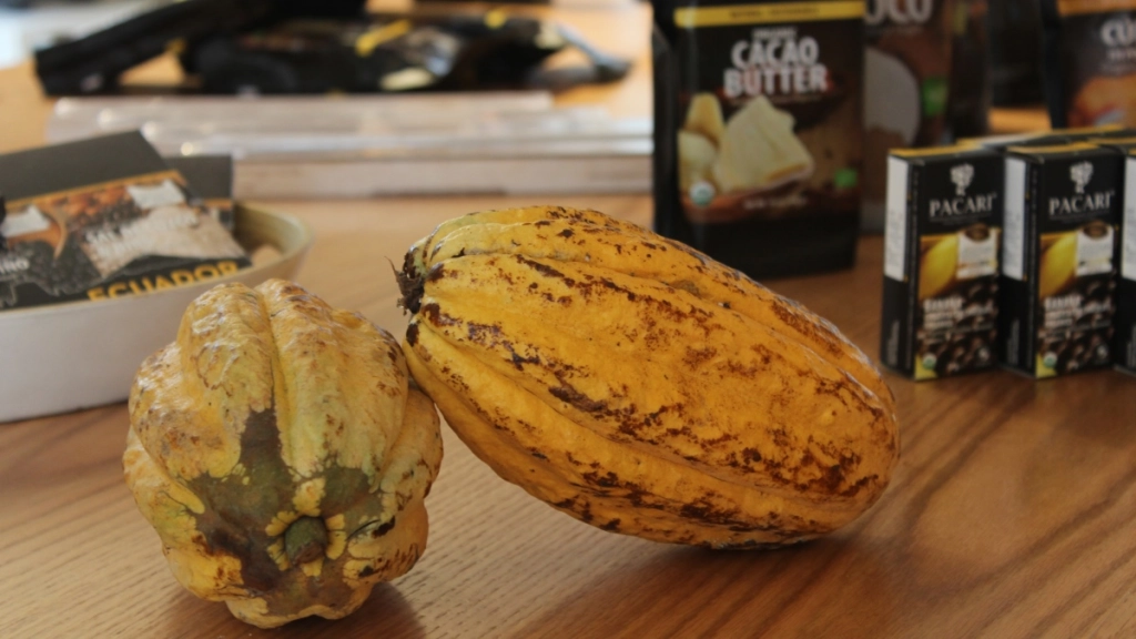chocolate Pacari - cacao