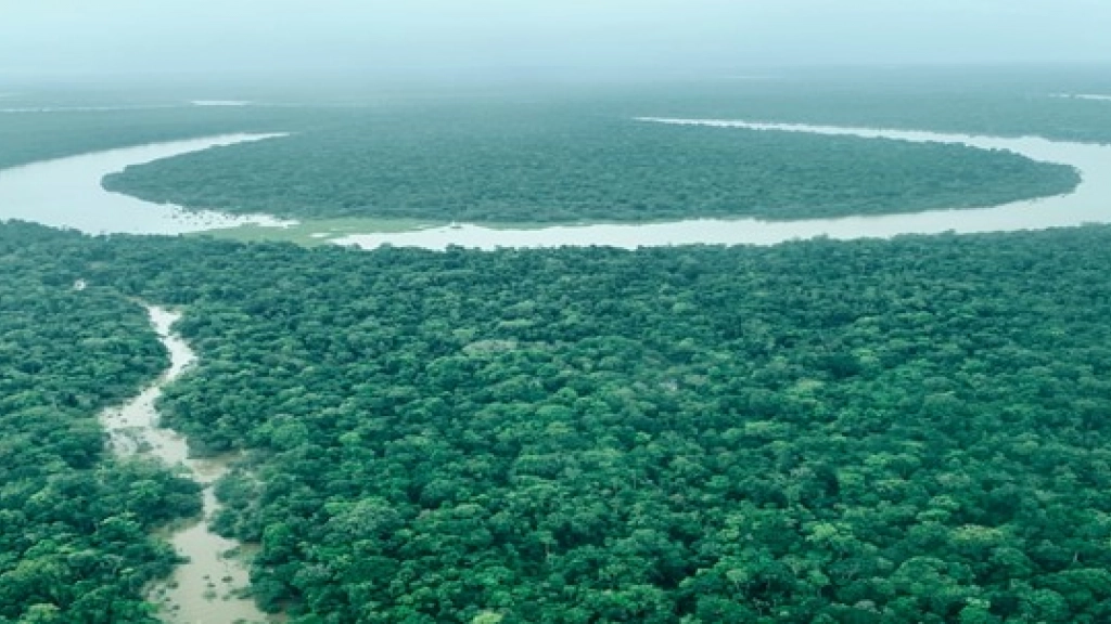 Amazonas - Natura