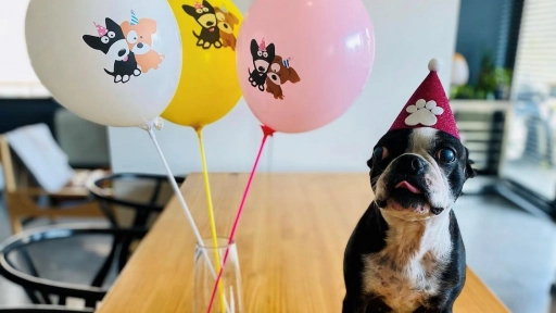 Begoña Basauri celebra el cumpleaños de su perrita Lupe