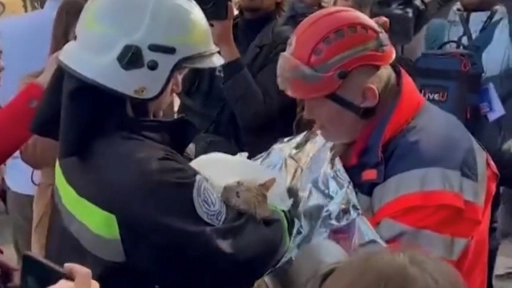 Kiev: Bomberos rescatan un gato entre los escombros del bombardeo con drones