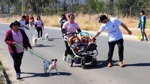 Curacaví realizó corrida canina