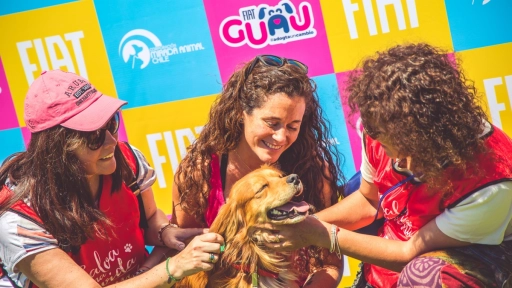 FIAT GUAU: La campaña que busca encontrar un hogar a perritos abandonados