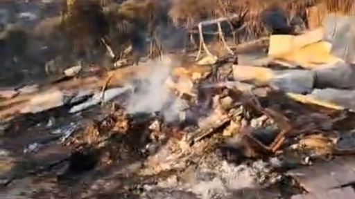 Incendio destruye refugio de animales en Melipilla