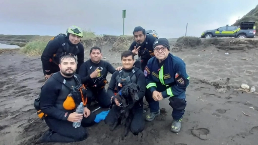 Bomberos y Armada rescatan a perrita que estaba atrapada en unas rocas