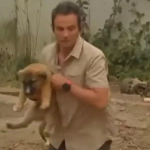 Incendios: Gonzalo Ramírez rescata perrito durante despacho en vivo