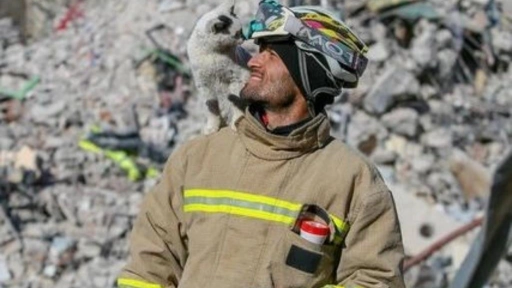  Terremoto Turquía: Bombero adopta a gatito que salvó 