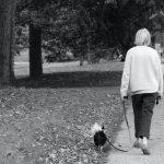Animales benefician la salud de adultos mayores