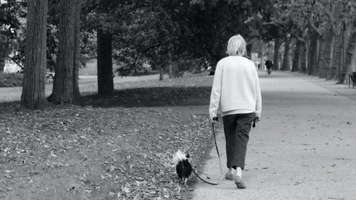 Animales benefician la salud de adultos mayores
