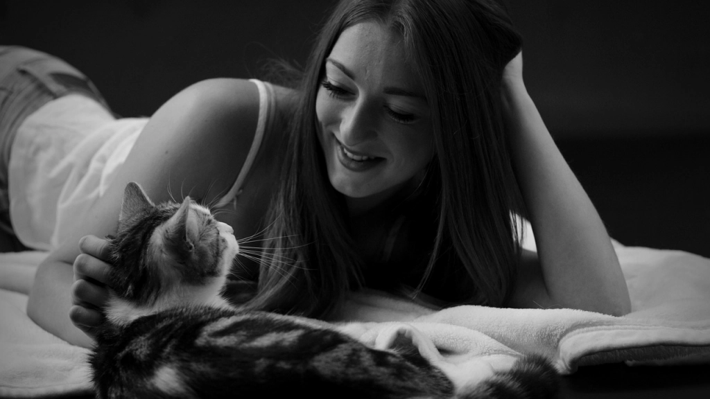 mujer, mujer joven, gato, Pixabay
