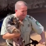 Carabinero rescata perrito desde el Canal San Carlos