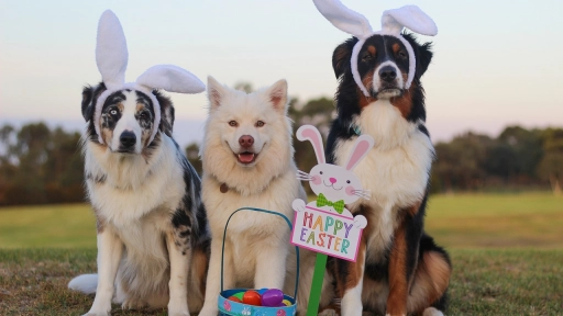 Pascua de Resurrección: Snacks para compartir junto a nuestros animales