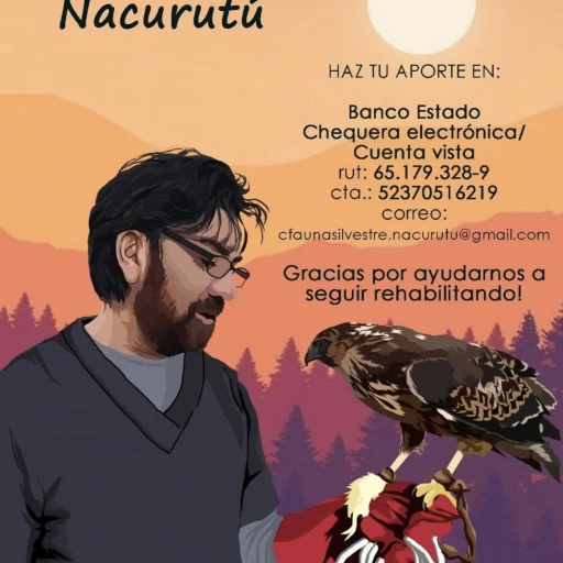 Cómo ayudar / Fundación Ñacurutú