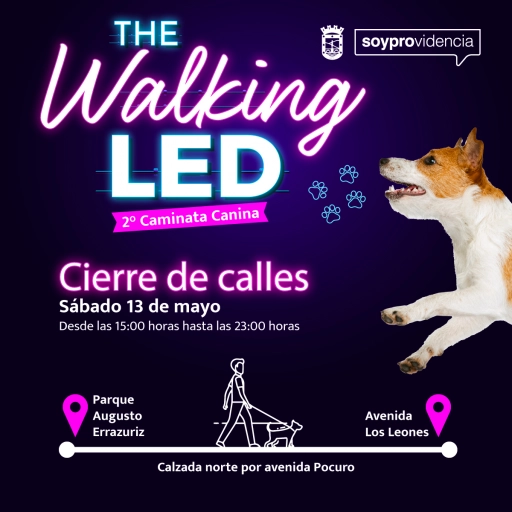 The Walking Led / Municipalidad de Providencia