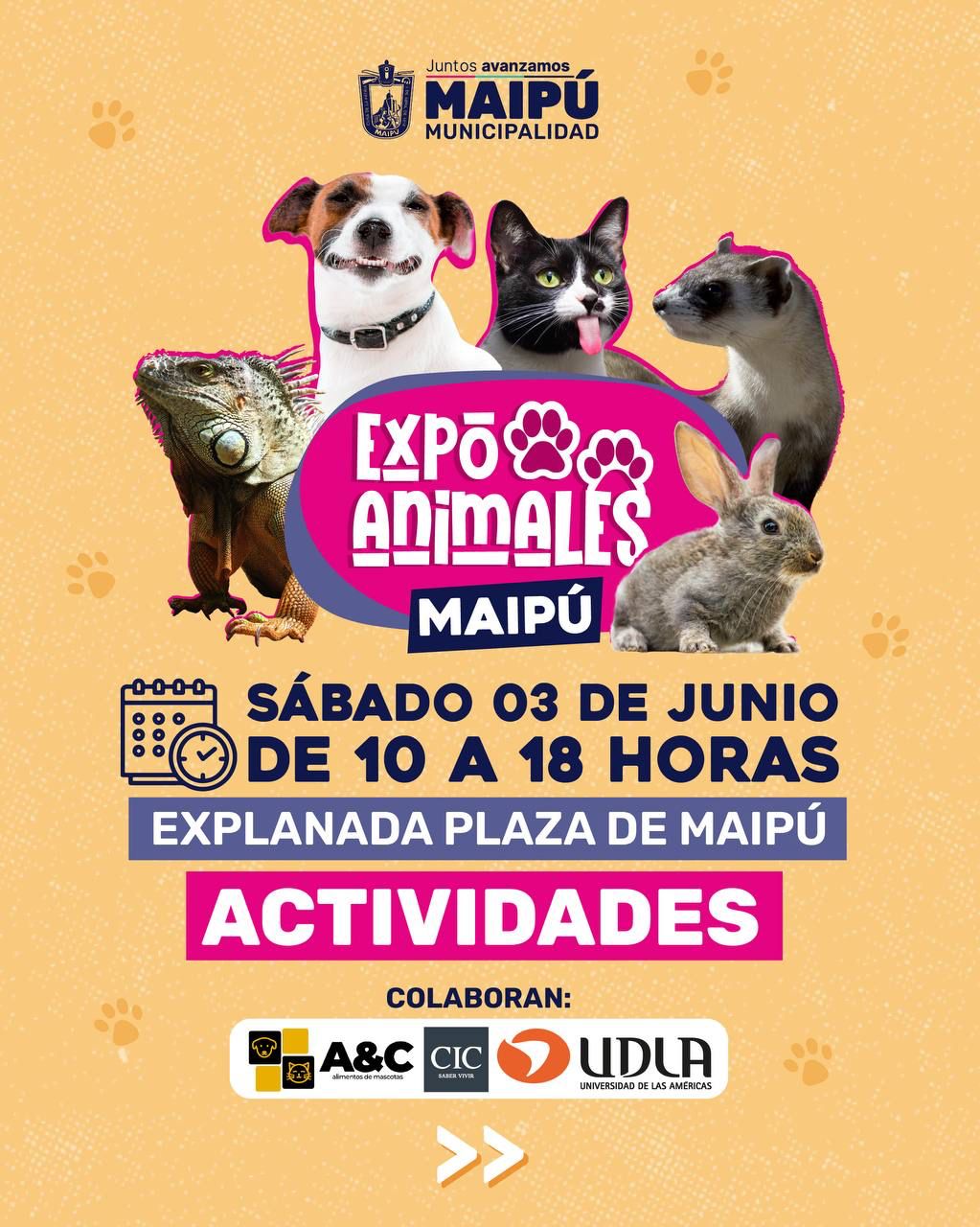 Expo Animales Maipú / Potección Animal Maipú