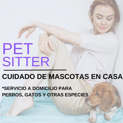 Pet Sitter / Paseo de perritos