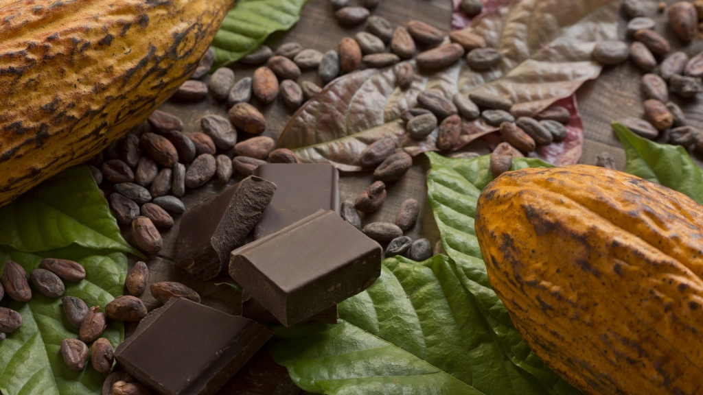 Cacao, Pacari