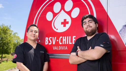 Día Mundial del Donante de Sangre: Tu perro o gato puede salvar vidas 