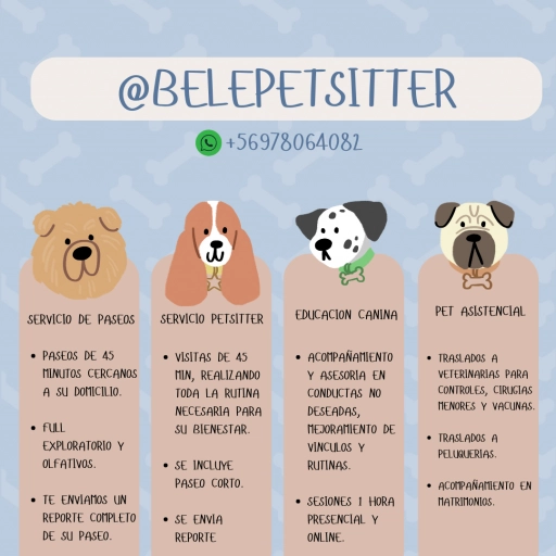Pet Sitter / Belén Pet Sitter