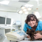 Ozonoterapia: Alivio para nuestros animales