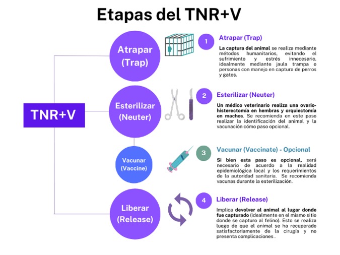 TNRV / Rodrigo Morales